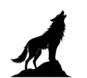 cropped howling wolf white background.webp